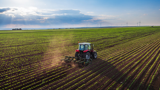 High ROI Farmlands Investment in Türkiye